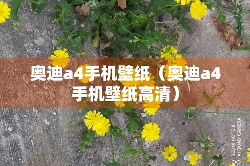 奥迪a4手机壁纸（奥迪a4手机壁纸高清）