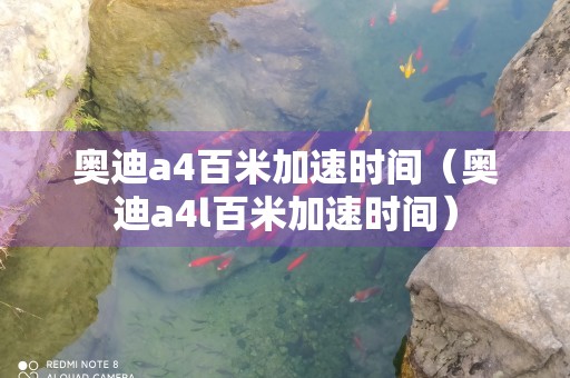 奥迪a4百米加速时间（奥迪a4l百米加速时间）