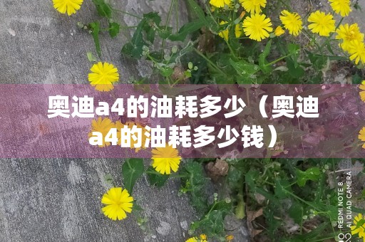 奥迪a4的油耗多少（奥迪a4的油耗多少钱）