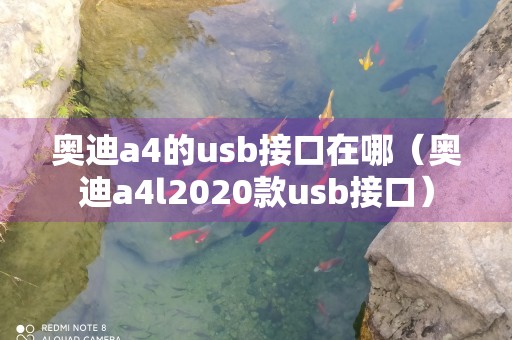 奥迪a4的usb接口在哪（奥迪a4l2020款usb接口）