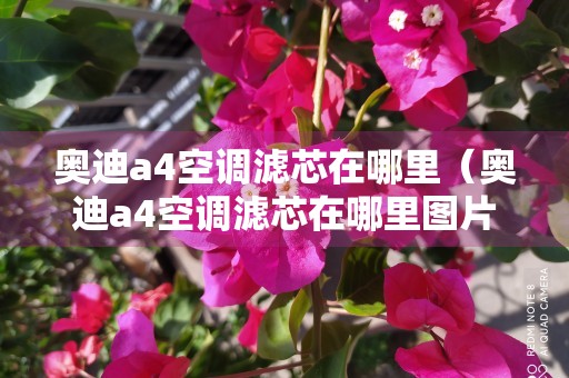 奥迪a4空调滤芯在哪里（奥迪a4空调滤芯在哪里图片）