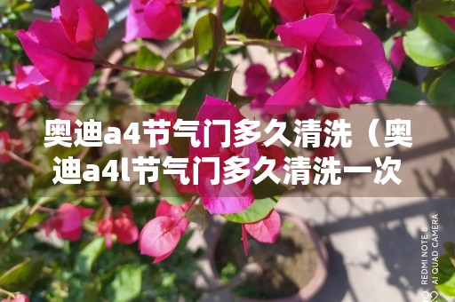 奥迪a4节气门多久清洗（奥迪a4l节气门多久清洗一次）