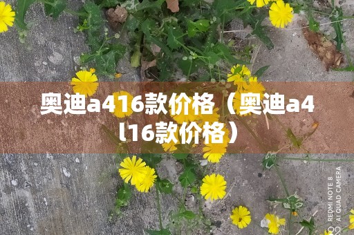 奥迪a416款价格（奥迪a4l16款价格）