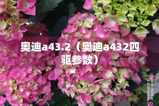 奥迪a43.2（奥迪a432四驱参数）