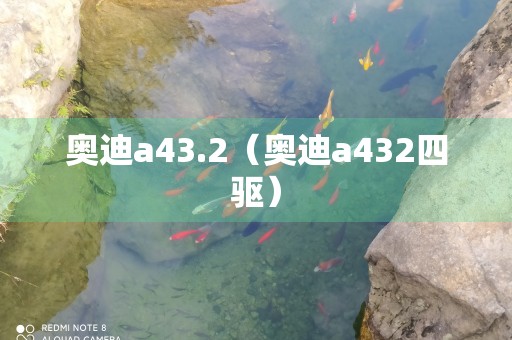 奥迪a43.2（奥迪a432四驱）