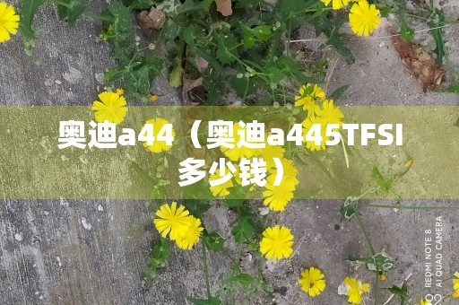 奥迪a44（奥迪a445TFSI多少钱）