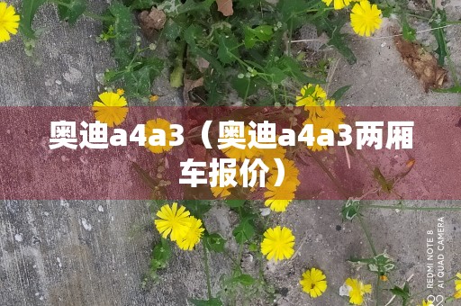 奥迪a4a3（奥迪a4a3两厢车报价）