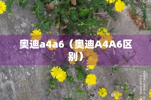 奥迪a4a6（奥迪A4A6区别）