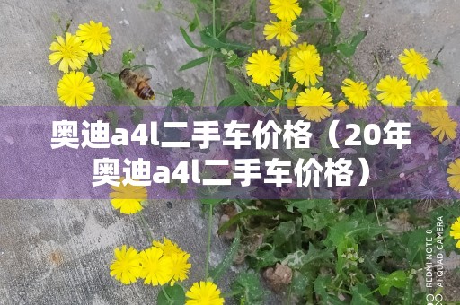 奥迪a4l二手车价格（20年奥迪a4l二手车价格）