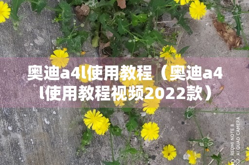 奥迪a4l使用教程（奥迪a4l使用教程视频2022款）