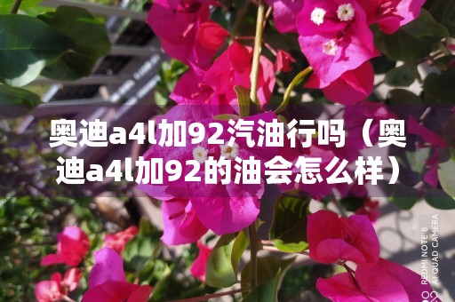 奥迪a4l加92汽油行吗（奥迪a4l加92的油会怎么样）