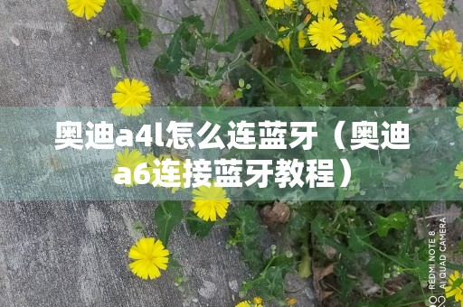 奥迪a4l怎么连蓝牙（奥迪a6连接蓝牙教程）