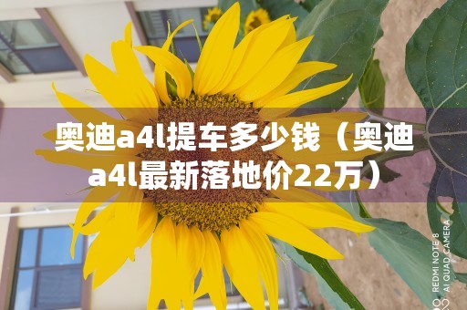 奥迪a4l提车多少钱（奥迪a4l最新落地价22万）