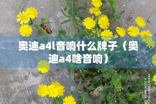 奥迪a4l音响什么牌子（奥迪a4啥音响）