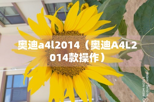 奥迪a4l2014（奥迪A4L2014款操作）