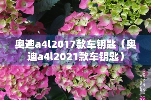 奥迪a4l2017款车钥匙（奥迪a4l2021款车钥匙）