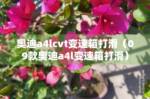 奥迪a4lcvt变速箱打滑（09款奥迪a4l变速箱打滑）