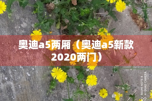 奥迪a5两厢（奥迪a5新款2020两门）