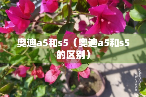 奥迪a5和s5（奥迪a5和s5的区别）