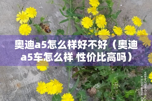 奥迪a5怎么样好不好（奥迪a5车怎么样 性价比高吗）