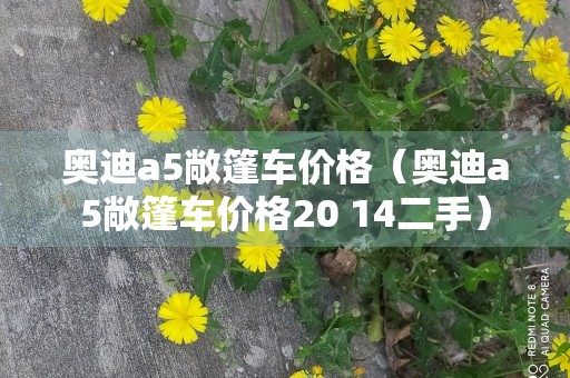 奥迪a5敞篷车价格（奥迪a5敞篷车价格20 14二手）