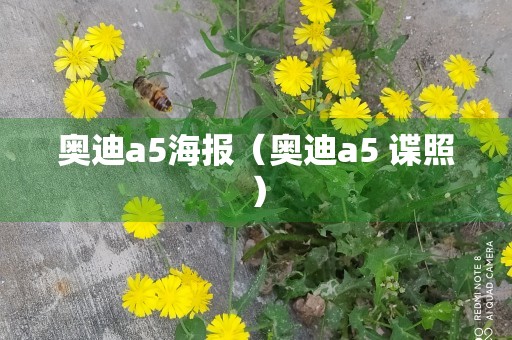 奥迪a5海报（奥迪a5 谍照）