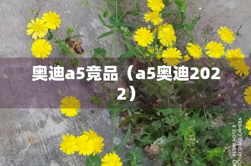 奥迪a5竞品（a5奥迪2022）