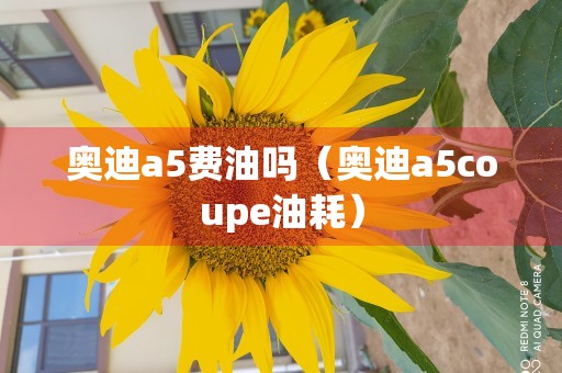 奥迪a5费油吗（奥迪a5coupe油耗）