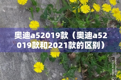 奥迪a52019款（奥迪a52019款和2021款的区别）