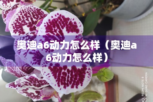 奥迪a6动力怎么样（奥迪a6动力怎么样）