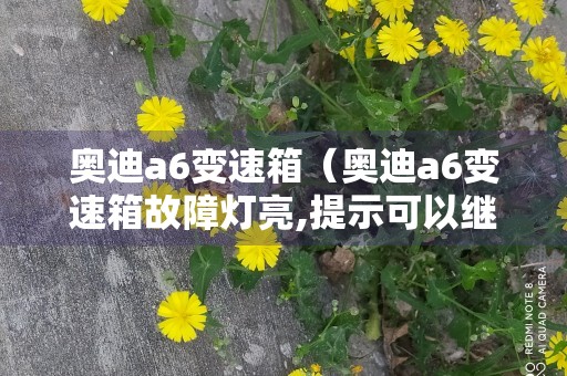 奥迪a6变速箱（奥迪a6变速箱故障灯亮,提示可以继续行驶,这是怎么回事）