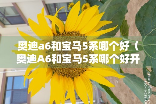 奥迪a6和宝马5系哪个好（奥迪A6和宝马5系哪个好开）