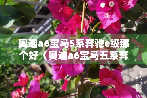 奥迪a6宝马5系奔驰e级那个好（奥迪a6宝马五系奔驰e级哪个好）