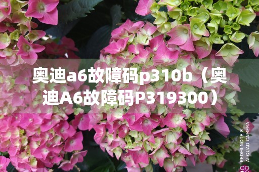 奥迪a6故障码p310b（奥迪A6故障码P319300）