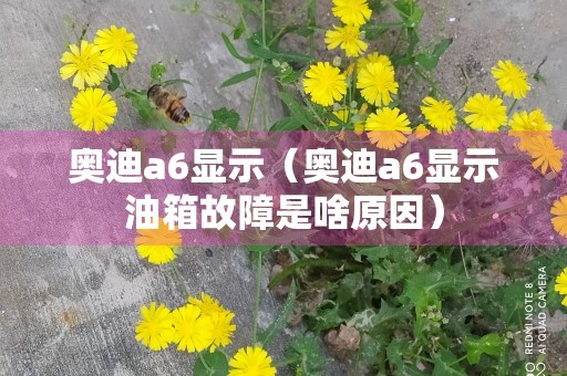 奥迪a6显示（奥迪a6显示油箱故障是啥原因）