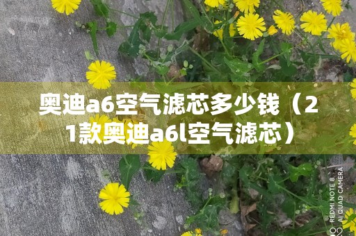 奥迪a6空气滤芯多少钱（21款奥迪a6l空气滤芯）