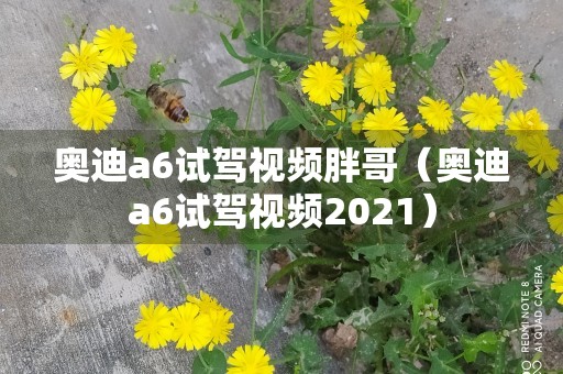 奥迪a6试驾视频胖哥（奥迪a6试驾视频2021）