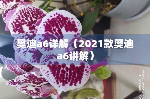 奥迪a6详解（2021款奥迪a6讲解）