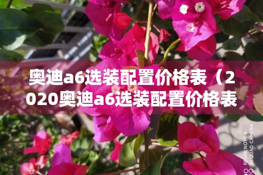 奥迪a6选装配置价格表（2020奥迪a6选装配置价格表）