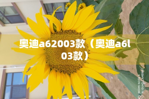 奥迪a62003款（奥迪a6l03款）