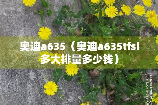 奥迪a635（奥迪a635tfsi多大排量多少钱）