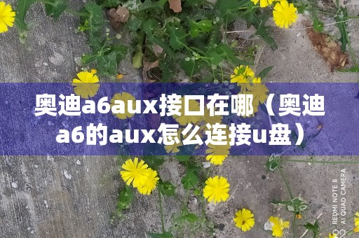 奥迪a6aux接口在哪（奥迪a6的aux怎么连接u盘）