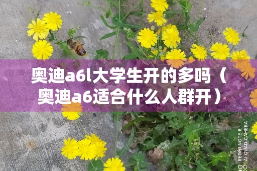 奥迪a6l大学生开的多吗（奥迪a6适合什么人群开）