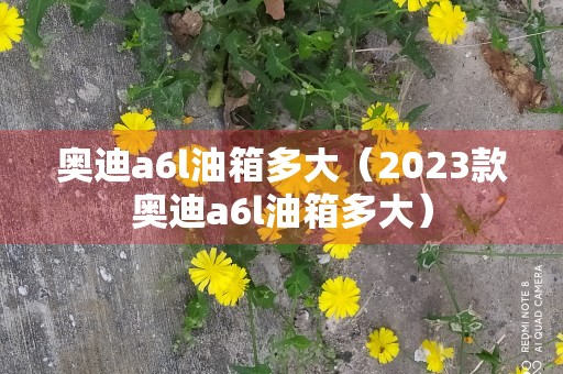 奥迪a6l油箱多大（2023款奥迪a6l油箱多大）