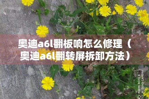 奥迪a6l翻板响怎么修理（奥迪a6l翻转屏拆卸方法）