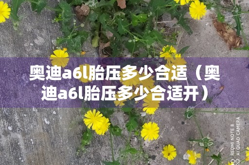 奥迪a6l胎压多少合适（奥迪a6l胎压多少合适开）