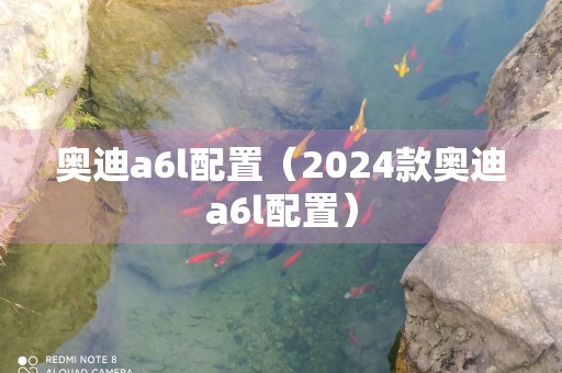 奥迪a6l配置（2024款奥迪a6l配置）