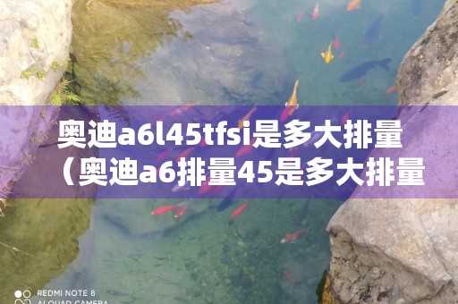 奥迪a6l45tfsi是多大排量（奥迪a6排量45是多大排量）