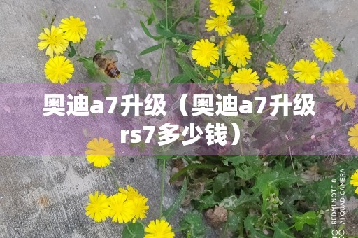 奥迪a7升级（奥迪a7升级rs7多少钱）