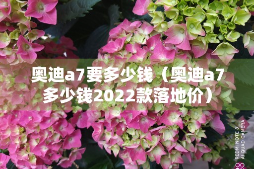 奥迪a7要多少钱（奥迪a7多少钱2022款落地价）